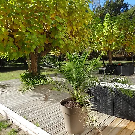 Casa vacanze Maple